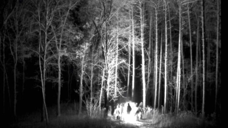 Bon Iver estreará novas músicas via feed de câmera de trilha 24/7 configurada na floresta