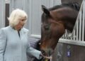 Camilla se torna patrono real da British Racing School