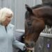 Camilla se torna patrono real da British Racing School