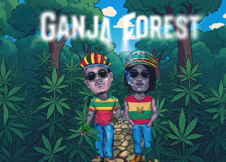 Chevobeatz: O Espírito por trás das últimas músicas "Ganja Forest" e "Margarita"