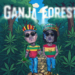 Chevobeatz: O Espírito por trás das últimas músicas "Ganja Forest" e "Margarita"