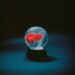Darkside, Mike e Sharon van Etten: Nova música em meio a uma crise intensificadora