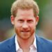 'Eu representei o príncipe Harry no tribunal - é assim que ele é realmente' | Real | Notícias