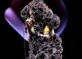 Filme de concerto Björk Cornucópia para estrear nos cinemas em 7 de maio