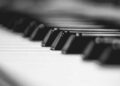 Fort Collins definido para Groove: Music Events neste fim de semana