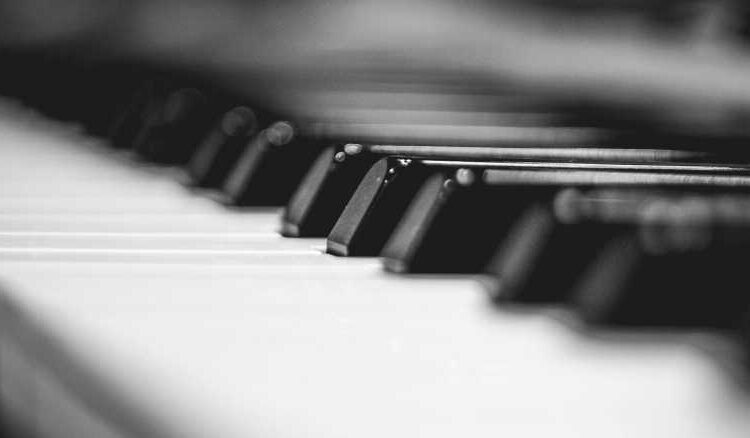 Fort Collins definido para Groove: Music Events neste fim de semana