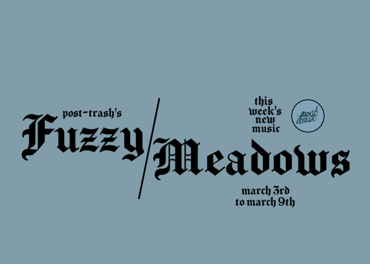 Fuzzy Meadows: The Best New Music da semana (3 de março