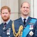 Inside Prince Harry’s lifelong battle with his ‘Spare’ identity: His position as second fiddle to Prince William ‘dominated his life’ and caused him to ‘choose to be the victim’ – as he now seeks ‘vengeance’ on perceived slights