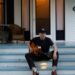 Jason Boland pode estar ao lado de 'Last Hank Williams' no novo álbum