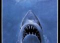'Jaws' faz 50 anos neste verão. Queremos ouvir de você. | Entretenimento/vida