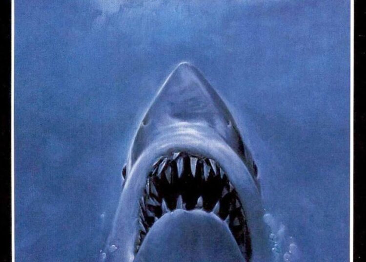'Jaws' faz 50 anos neste verão. Queremos ouvir de você. | Entretenimento/vida
