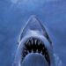 'Jaws' faz 50 anos neste verão. Queremos ouvir de você. | Entretenimento/vida