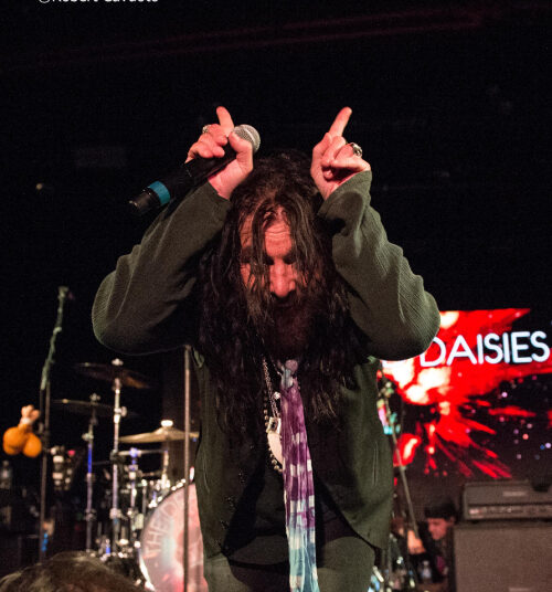 John Corabi of the Dead Daisies - novo e novo álbum de capa de blues, Lookin 'For Trouble, é sobre sair com bons amigos, escrever músicas e ser piratas de terra! John Corabi of the Dead Daisies - novo single e novo álbum de capa de blues, Lookin' For Trouble, é tudo sobre sair com bons amigos, escrever músicas e ser piratas de terra!
