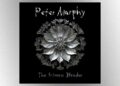 Justin Chancellor da Tool apresentado em New Peter Murphy Song, 'The Artroom Wonder' - 105.7 The Point