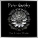 Justin Chancellor da Tool apresentado em New Peter Murphy Song, 'The Artroom Wonder' - 105.7 The Point