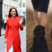 Kate Middleton e o príncipe William conseguiram um novo filhote?