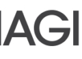 Magic Nashville retorna com dois dias de redes, entretenimento e destaque de coleções de moda local