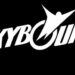 Mais demissões de entretenimento Skybound identificaram este ano e último