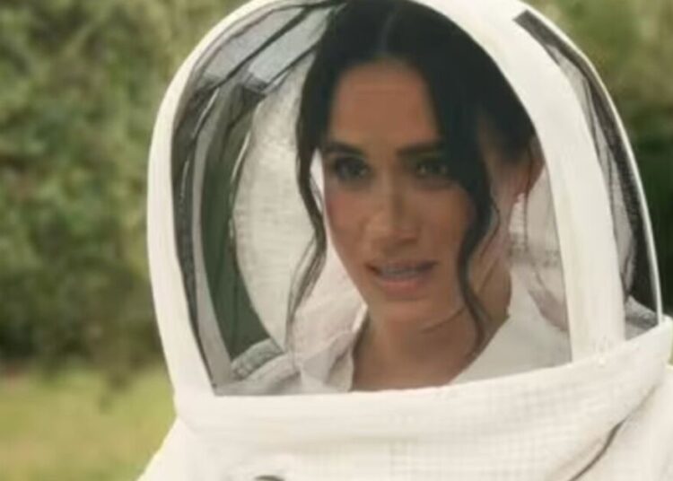 Meghan Markle admite comida de que nunca gostou - apesar de vendê -la em um novo site | Real | Notícias