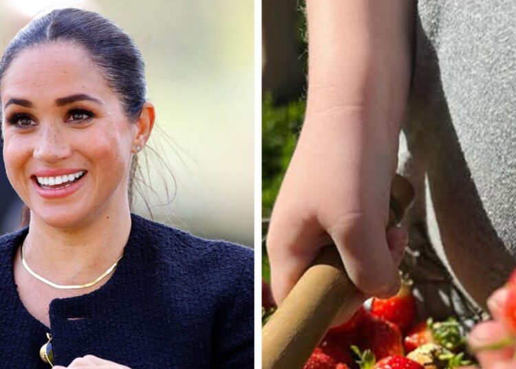 Meghan Markle compartilha uma nova foto de Lilibet e Archie para a primavera