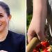 Meghan Markle compartilha uma nova foto de Lilibet e Archie para a primavera