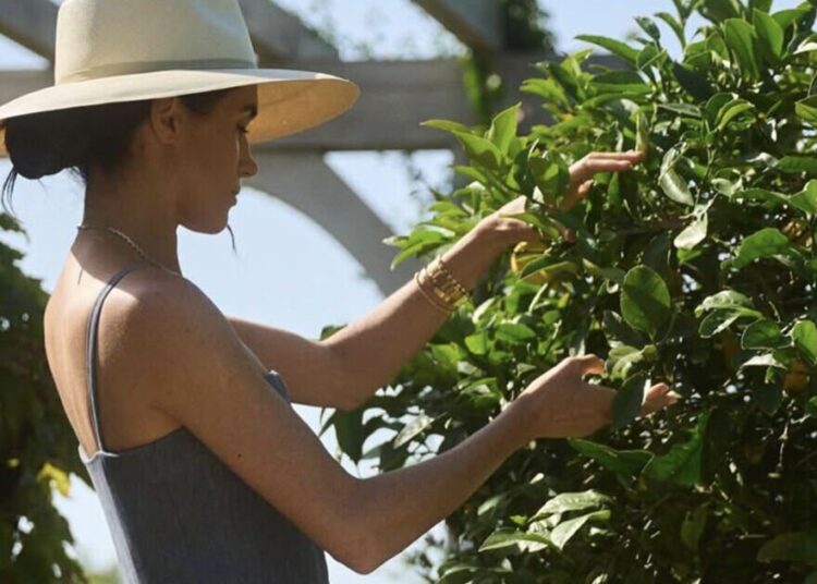 Meghan Markle compartilha uma nova postagem do Instagram com mensagem enigmática | Real | Notícias