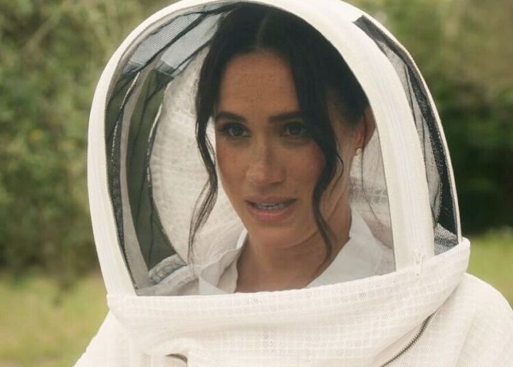 Meghan Markle se abre com paixão que ela compartilha com o rei Charles | Real | Notícias