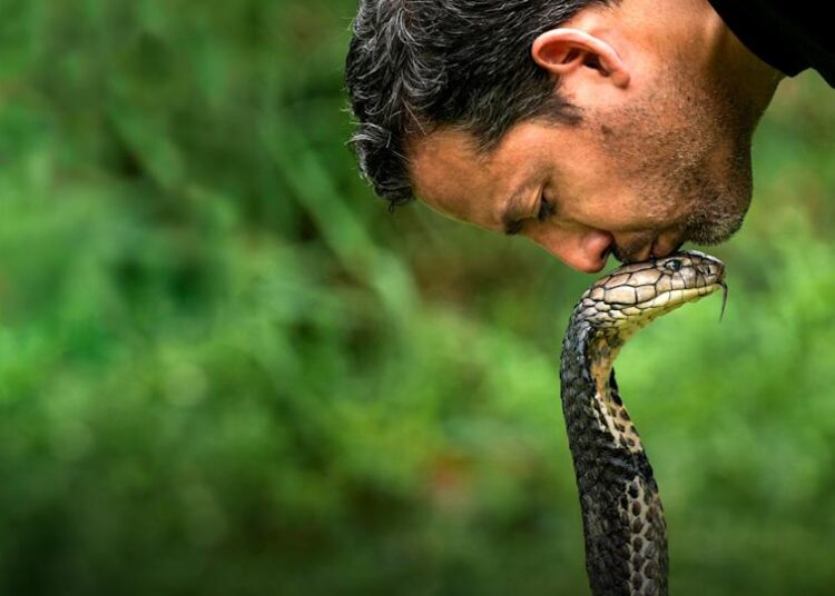 Não tente estrear hoje à noite no National Geographic