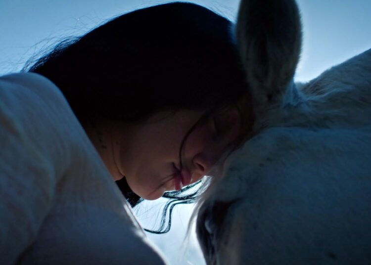 Noah Cyrus e Fleet Foxes compartilham uma nova música 'Don't Put All on Me'