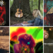 Nova música de St. Louis Artists em março de 2025