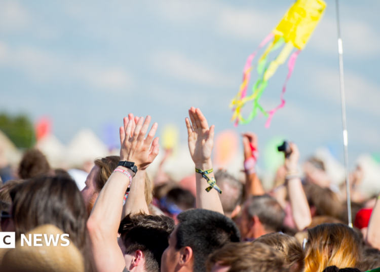 Novo festival de música proposto para o site de festival Chelmsford V