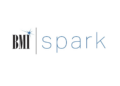 O BMI lança Spark, um novo programa emocionante para ajudar os criadores de música a prosperar ao longo de sua carreira
