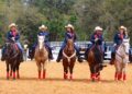 O Roundup de cavalos e heróis do McCormick Research Institute oferece entretenimento de rodeio emocionante enquanto apoia veteranos e programas de necessidades especiais
