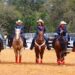 O Roundup de cavalos e heróis do McCormick Research Institute oferece entretenimento de rodeio emocionante enquanto apoia veteranos e programas de necessidades especiais