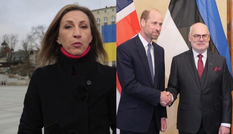 O estilo de diplomacia do príncipe William é bem -vindo nesses tempos tensos | Notícias do Reino Unido