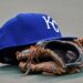 O jogador de campo do Royals 'pressionando para estar pronto' para o dia da abertura após a tensão do tendão