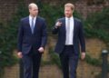 O primo de William e Harry, que herdará a casa de infância de Diana | Real | Notícias
