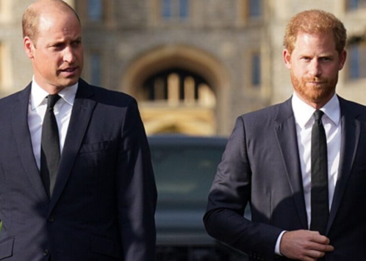 O príncipe Harry diante do dilema, pois o movimento da Netflix desencadearia 'enorme conflito' com William | Real | Notícias