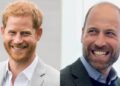 O príncipe Harry recebe boas notícias sobre a reunião do príncipe William