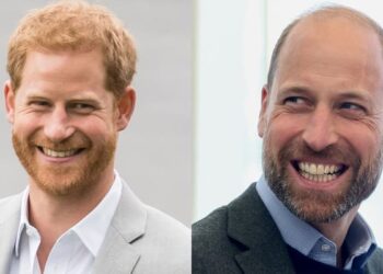 O príncipe Harry recebe boas notícias sobre a reunião do príncipe William