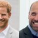 O príncipe Harry recebe boas notícias sobre a reunião do príncipe William