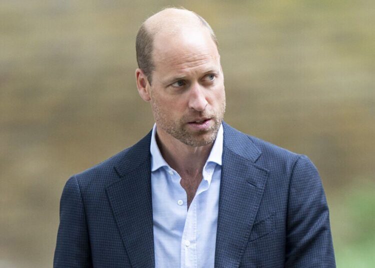 O príncipe William ameaçou com ataques com drones em terríveis declaração | Real | Notícias