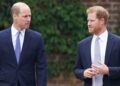 O príncipe William e o príncipe Harry usaram esse sobrenome antes do casamento