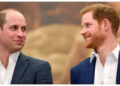O que levou à crescente distância entre William e Harry?
