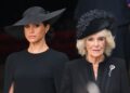O que os assessores da rainha Camilla realmente pensam de Harry e Meghan Bombshells