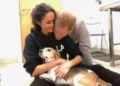 O rei Charles fala com seu filho Harry e tudo dá uma guinada com Meghan Markle: confirmou