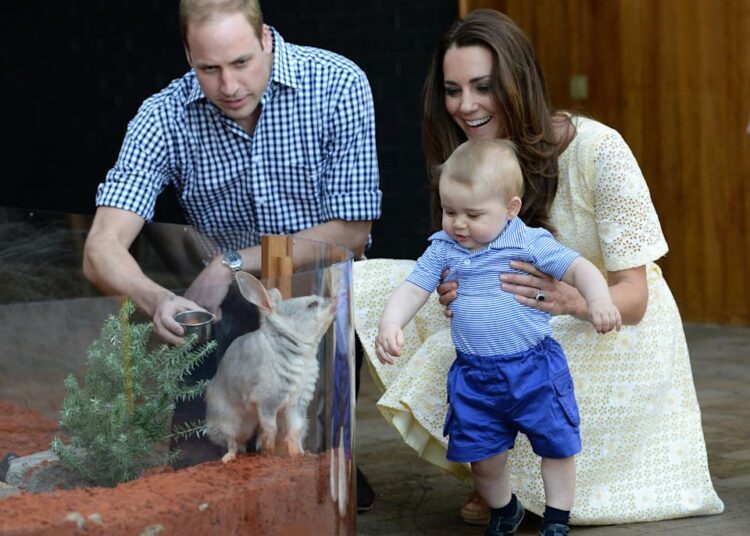 Os comentários de viagem de Kate Middleton podem significar que um marco real está no horizonte para o príncipe Louis