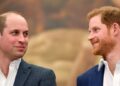 Prince Harry Dava no príncipe William durante a aparição real
