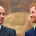 Prince Harry Dava no príncipe William durante a aparição real