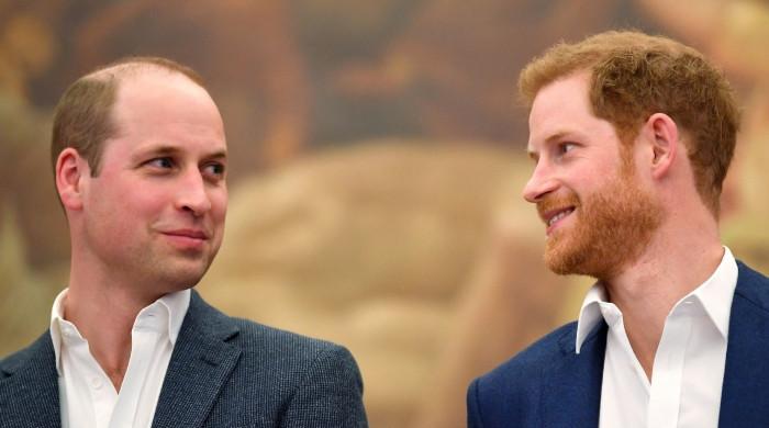 Prince Harry Dava no príncipe William durante a aparição real